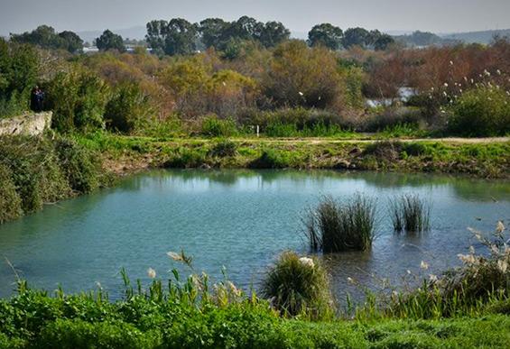 שמורת טבע עין אפק טיול עם ילדים