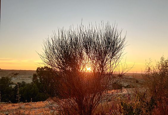 חופשה במדבר עם ילדים שקיעה במצפה עזוז