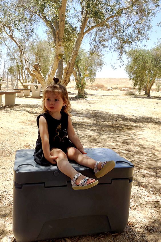 טיול עם ילדים במדבר - פיקניק במטע זיתים ליד עזוז