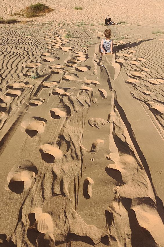 טיול במדבר עם ילדים - גלישת חולות בדיונה בחולות עגור באר מילכה