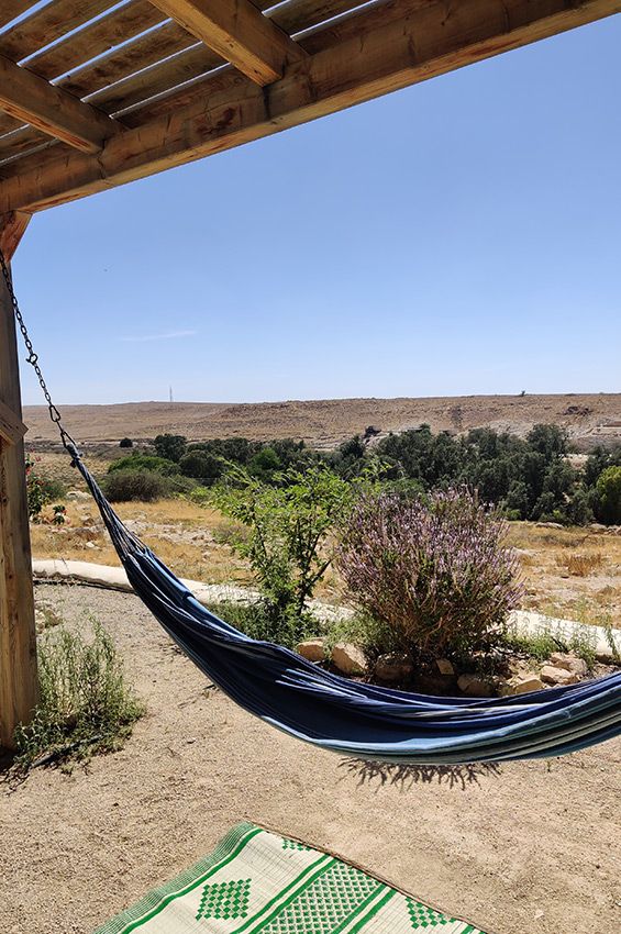 טיול במדבר הנגב פתחת ניצנה עם הילדים