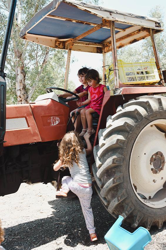 איטס ג׳וליי טיולים משפחתיים מומלצים וחווייתים