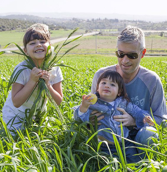 working nine גל בן זאב