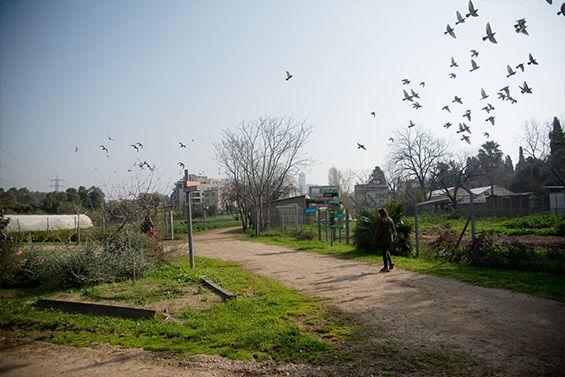 פעילויות ומסלולי טיול עם ילדים בתל אביב