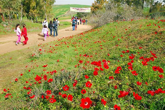 מדרום עד צפון: 6 טיולי סוף שבוע משפחתיים לשבת חורפית נעימה