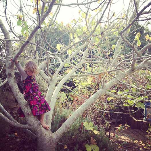 ילדה על עץ