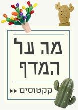 מה על המדף: קקטוסים